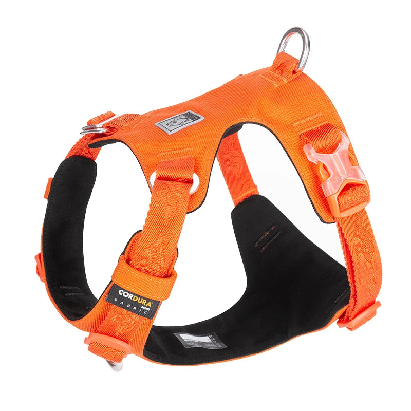 Dog Harness